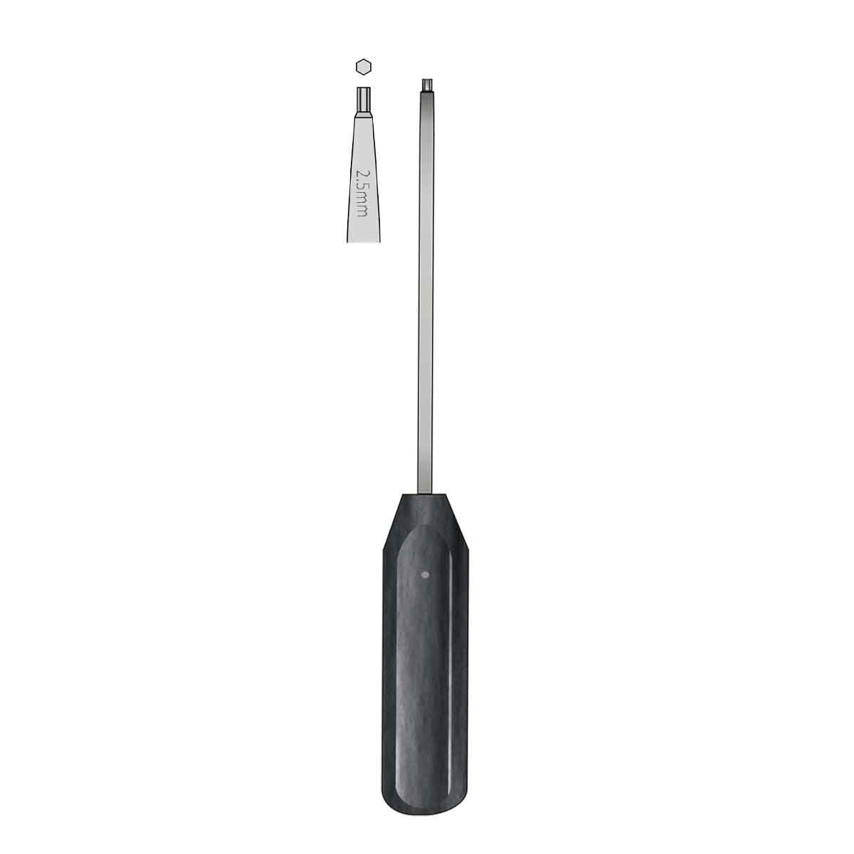 Cacciavite per Vite 2,5mm