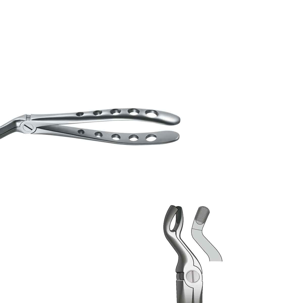 Forceps Cordales superiore n. 67A