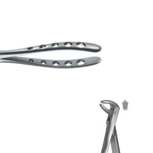 Pinza da estrazione Pediátrico Niños molari inferiore Nº73K