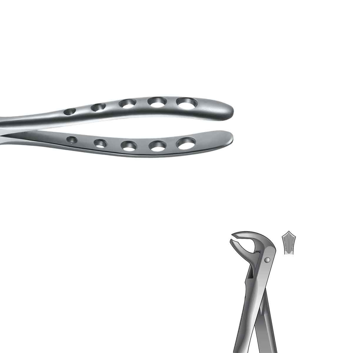 Pinza da estrazione Pediátrico Niños molari inferiore Nº73K
