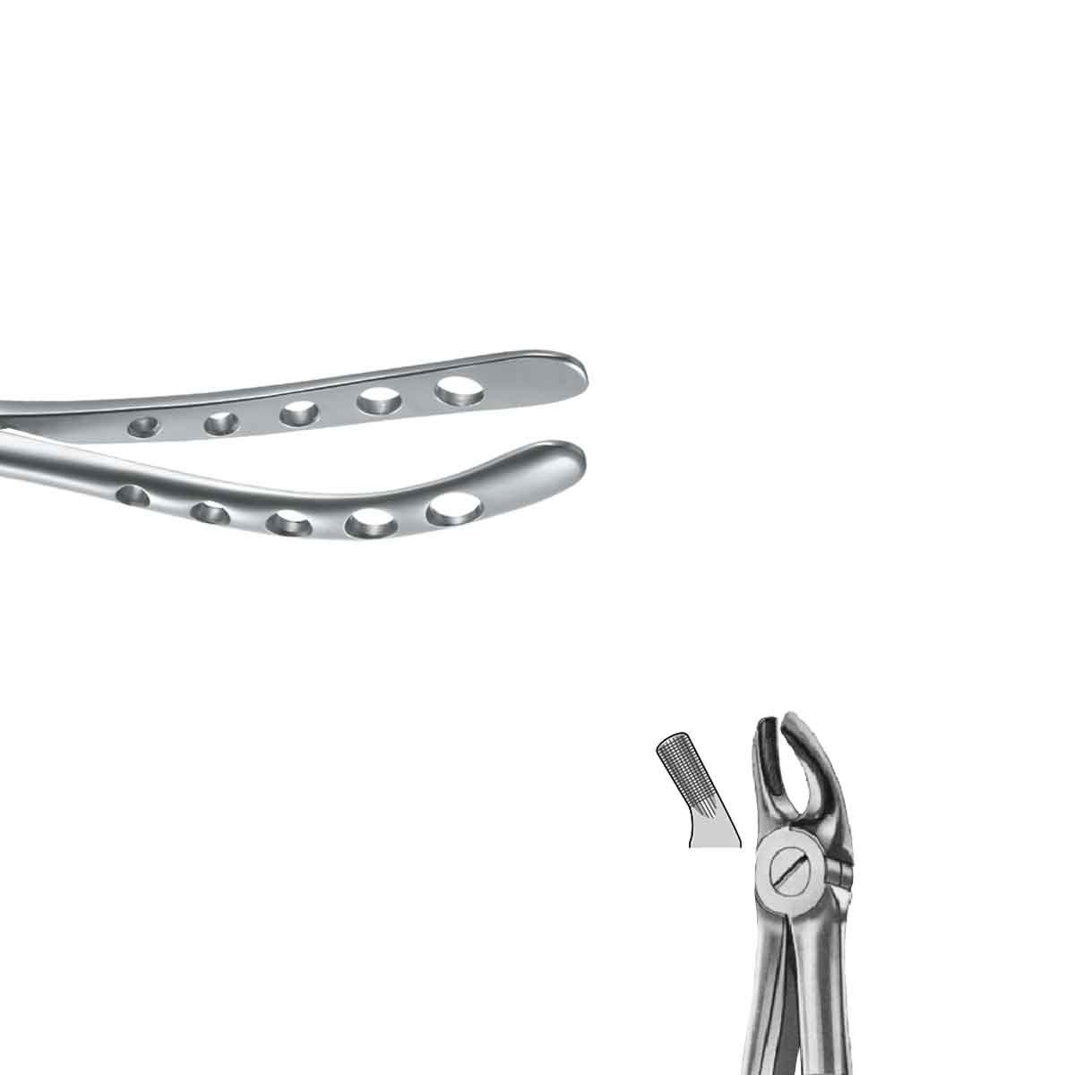 Pinza da estrazione pediatrica molare superiore Nº39