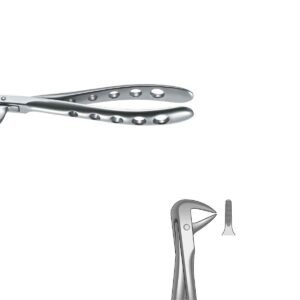Pinza da estrazione radici inferiori Incisivos Nº74NX