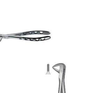 Forceps Raíces inferiore n. 74 Black Line