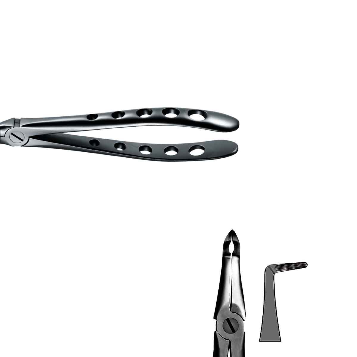 Forceps Raices n. 45 Black Line