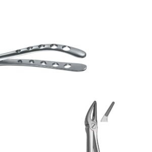 Forceps Raíces superiore n. 30