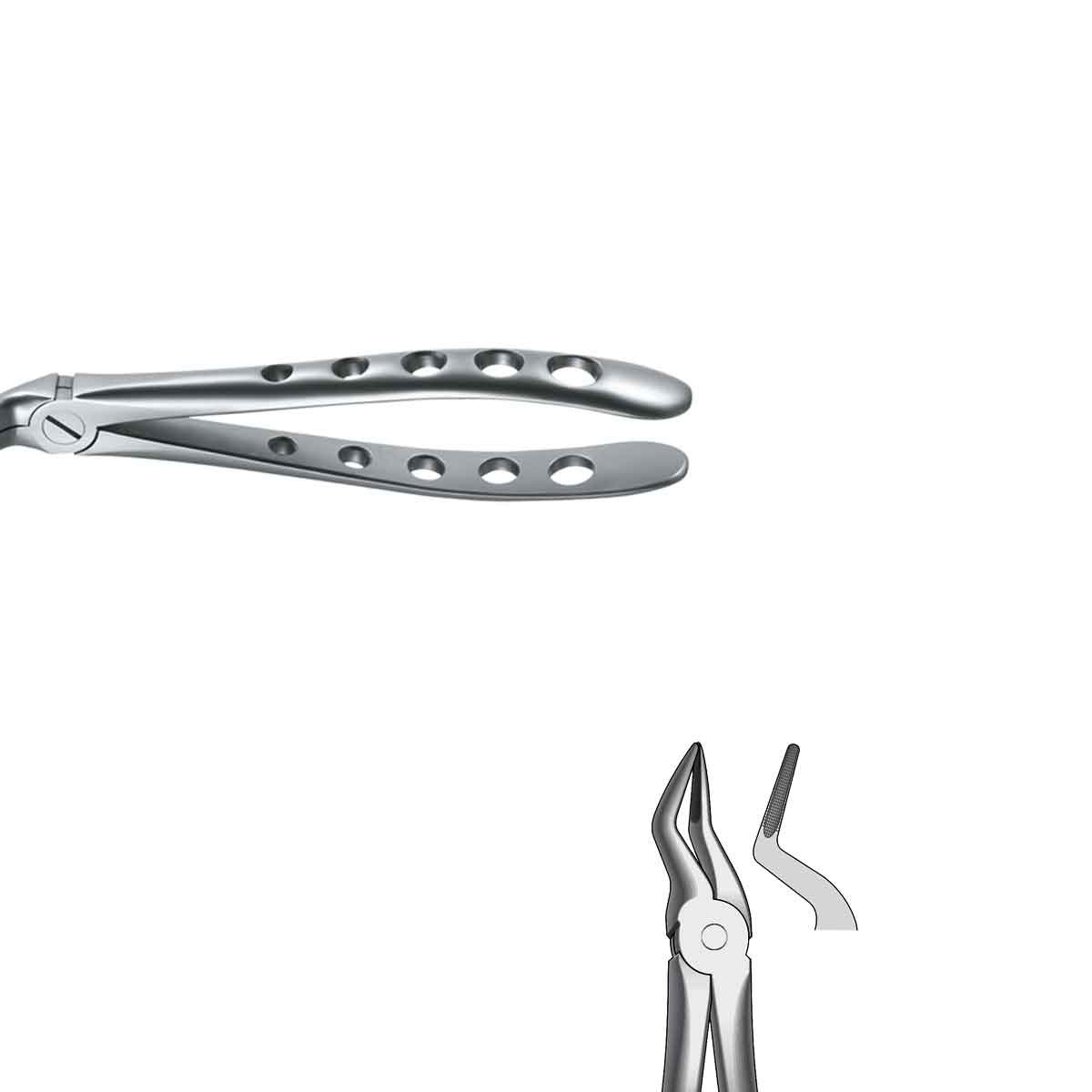 Pinza da estrazione radici superiori Nº51
