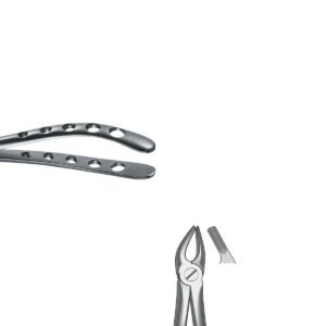 Forceps n. 7 per premolari superiori Black Line