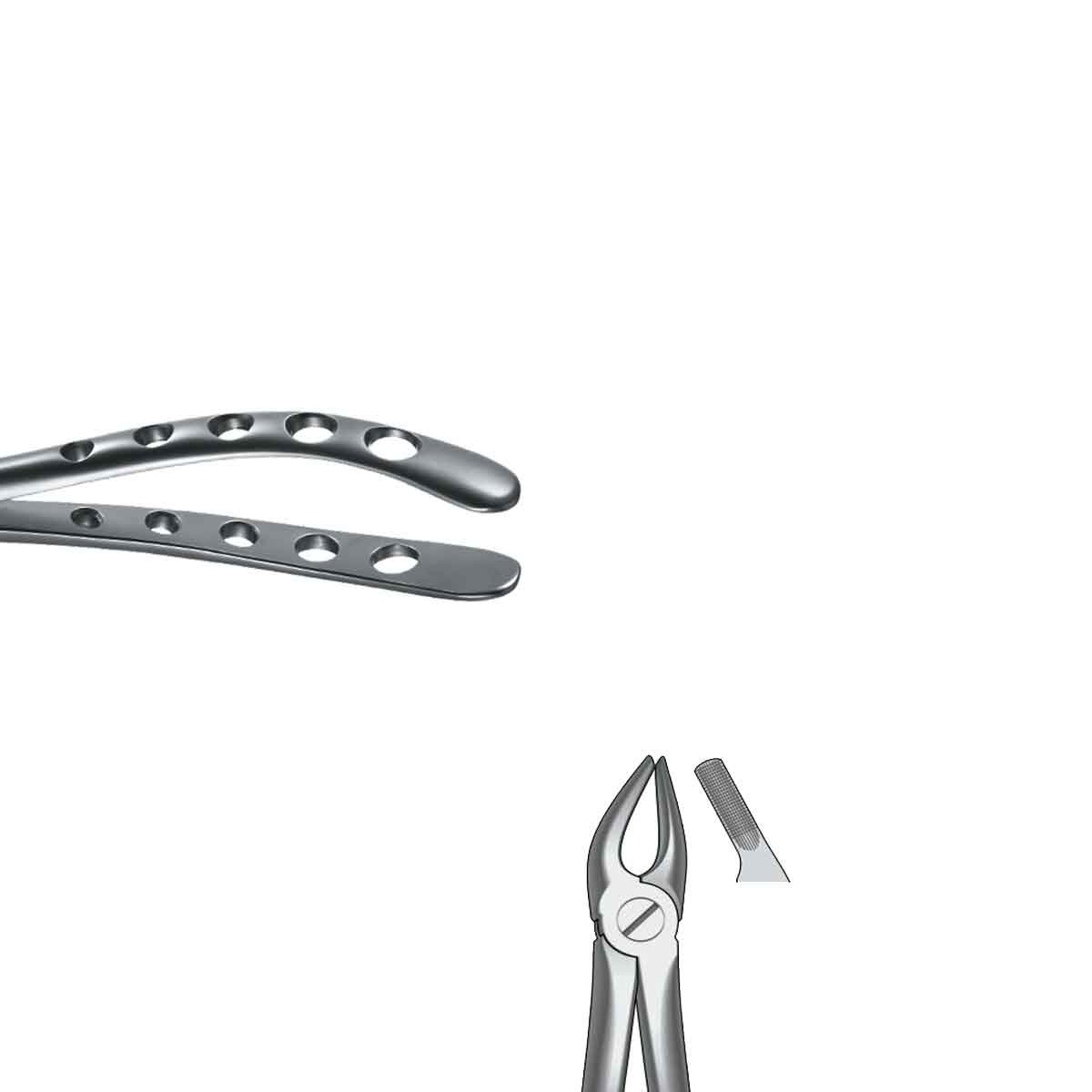Forceps Premolares superiore n. 7 Black Line