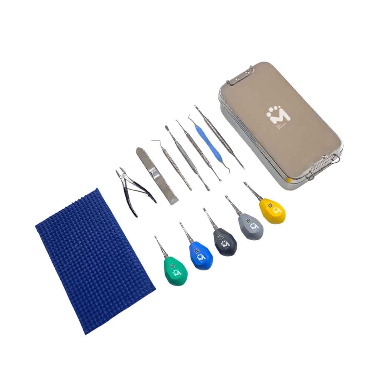 Kit di elevatori dentali a manico corto - 12 pezzi - Image 2