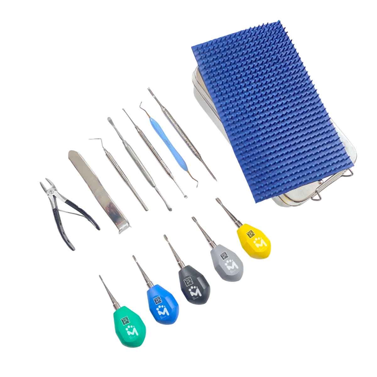 Kit di elevatori dentali a manico corto - 12 pezzi