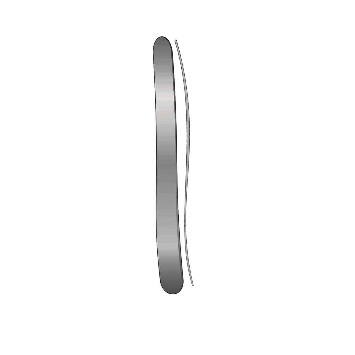 Abbassalingua metallico
